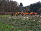 Bläserdrückjagd Sachsen Anhalt 2017 (Tag 2) 
